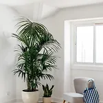 Lodge Outpost - Casa Arribas *