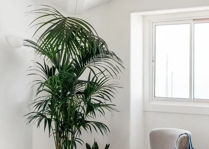 Hytte Outpost - Casa Arribas *