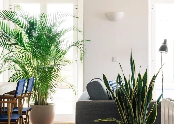 Outpost - Casa Arribas Sintra